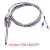 Can nhiệt Wzp-291