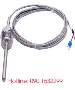 Can nhiệt Wzp-291